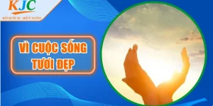 Vì Cuộc Sống Tươi Đẹp
